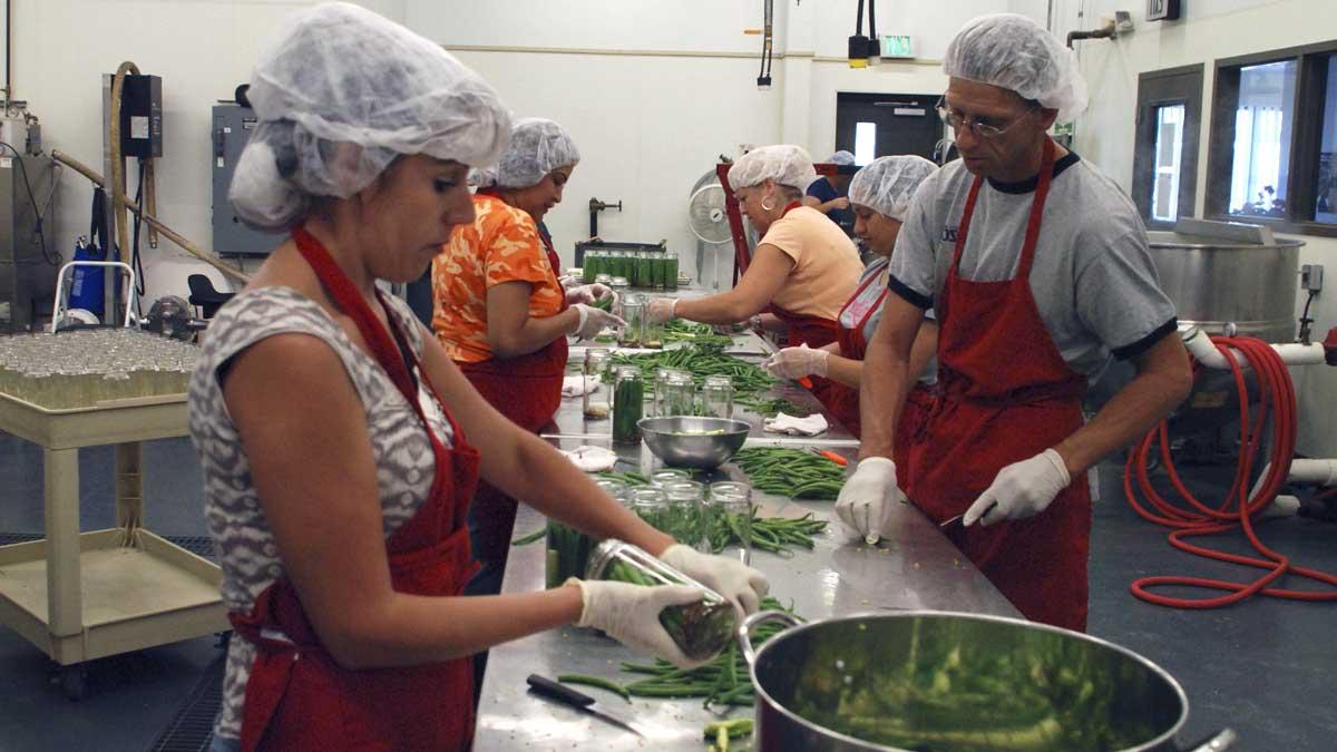 Assembly line of workers canning beans